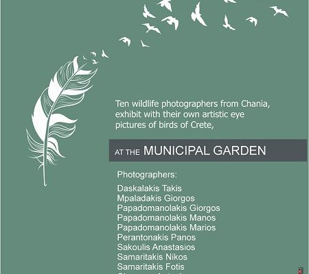 Outdoor Photo Exhibition “Cretan Avifauna” , Municipal Garden of Chania, 20.05.23 – 30.09.23